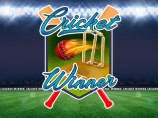 Cricket Winner screenshot